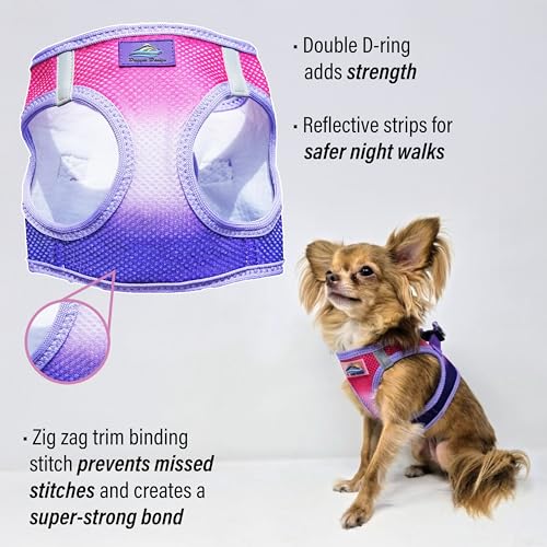 American River Choke-Free Dog Harness - Raspberry Sundae Ombre - color: Raspberry Sundae, size: X-Small