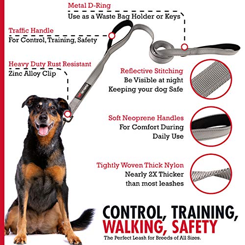 Tuff Pupper Heavy Duty Double Handle Leash | Twist Locking Carabiner Clip | Safety Lock for Strong Dogs | Reflective for Safe Night Walks | 6 Foot Leash | For Medium & Large Dogs - color: Steel Grey