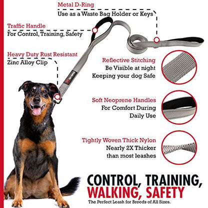 Tuff Pupper Heavy Duty Double Handle Leash | Twist Locking Carabiner Clip | Safety Lock for Strong Dogs | Reflective for Safe Night Walks | 6 Foot Leash | For Medium & Large Dogs - color: Steel Grey