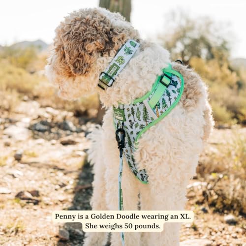 Lucy & Co. x Parks Project Feel the Earth Breath No-Pull Dog Harness, Adjustable Front Clip Harness with Comfort Padding, Small - color: Feel the Earth Breath, size: Small