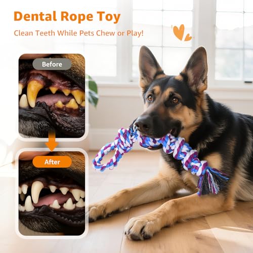 LOOBANI Dog Rope Toys for Aggressive Chewers, 2 Packs Replacement Interactive Chew Toy for Pet Grinding Teeth, Tug of War Toy for Small Medium Large Breeds(Purple Blue) - color: Purple Blue
