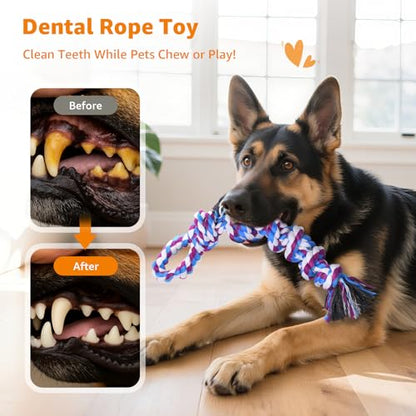 LOOBANI Dog Rope Toys for Aggressive Chewers, 2 Packs Replacement Interactive Chew Toy for Pet Grinding Teeth, Tug of War Toy for Small Medium Large Breeds(Purple Blue) - color: Purple Blue