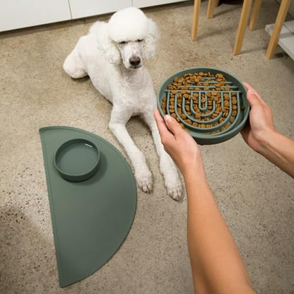 Should We Go? Slow Feeder for Dogs & Puppies, The Slowdown Bowl Silicone Slow Eating, Modern Lick Mat Design, Reduces Gulping, Fits 2 Cups, 7.5” Across x 1.5” Tall, Mealtime Challenge, Medium-Spruce - color: Spruce - Rainbow Design, size: Medium (7.5” Acr