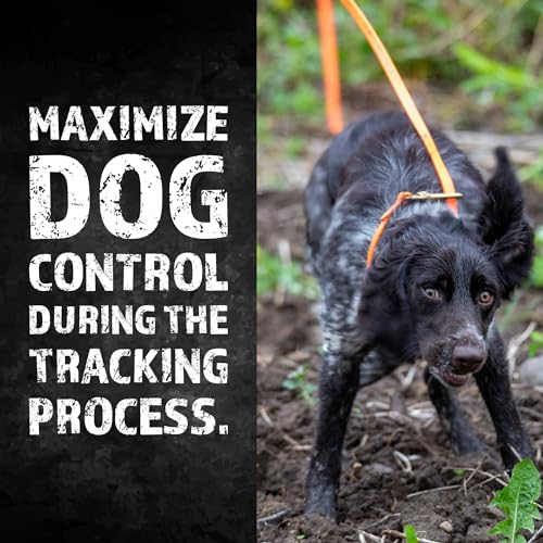RigidBuilt Tracking Leash & Long Check Cord | 30 Feet | Waterproof Standard Dog Leash | Heavy Duty & Easy to Clean Hunting Dog Accessories - size: Large (Over 40 lbs)