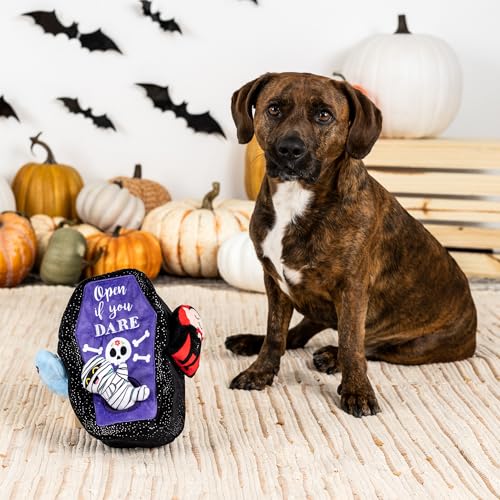 Fringe Studio Hide and Seek Burrow Plush Dog Toy, Sleep Tight, PetShop Collection (289232) - color: Sleep Tight
