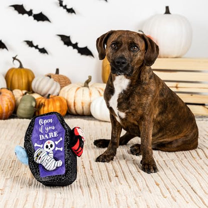Fringe Studio Hide and Seek Burrow Plush Dog Toy, Sleep Tight, PetShop Collection (289232) - color: Sleep Tight