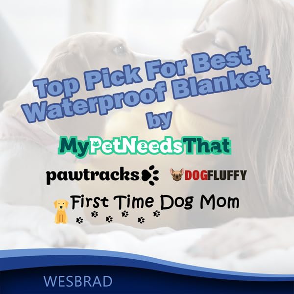 100% Leak Proof, Waterproof Bed Cover, Totally Pee Proof, EZ-Wash, Durable, 3 Layer Blanket (Queen-King 90"x80", Slate Grey, Cool Grey) Adults, Pets, Dogs, Cats - size: Queen-King 90"x80"