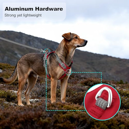 No Pull Dog Harness – Adjustable Reflective Nylon Vest for Small Medium Large Dogs, Escape Proof Training Harness with Leather Control Handle, Lightweight Aluminum Hardware (Red, XL) - color: Red, size: XL