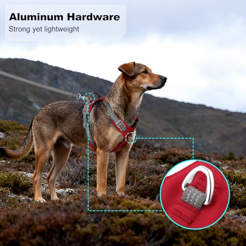 No Pull Dog Harness – Adjustable Reflective Nylon Vest for Small Medium Large Dogs, Escape Proof Training Harness with Leather Control Handle, Lightweight Aluminum Hardware (Red, L) - color: Red, size: L