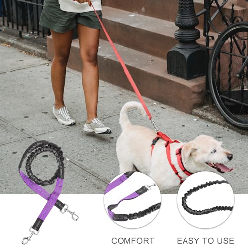 DOITOOL Hands Free Dog Running Leash Waist Belt Nylon Rope Leash for Medium Dogs Jogging Training with Safety Reflective Purple