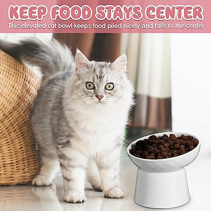 Tanlade 4 Pcs Ceramic Raised Cat Bowls, Elevated Tilted Cat Bowl for Food Water, Stress Free, Backflow Prevention, Dishwasher Microwave Safe, Feeder Dish for Indoor Kitten, Small Dogs(White and Pink) - color: White and Pink