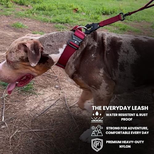 BULLYBREED | Heavy Duty Dog Leash, Tactical Dog Leash, Quick Release Frog Clip with Dual Anti-Tangling Swivel System for Large Dogs That Pull with Soft Handle (Yellow) - color: Yellow