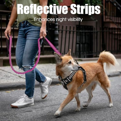 BUMBIN 6Ft Dog Leash Large Dogs, Bungee Dog Leash with 2 Handles, Heavy Duty Leashes for Medium Small Dogs, No Pull Shock Absorbing，with Car Seat Belt for Training, Pink - color: Rose Red