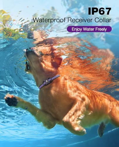Bousnic Dog Shock Collar - 3300Ft Training Collar with Remote for 5-120lbs Small Medium Large Dogs Rechargeable Waterproof e Collar with Beep (1-8), Shake(1-16), Safe Shock(1-99) Modes (Lightpurple) - color: Purple