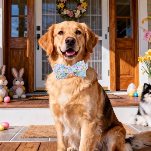 DOGWONG Easer Dog Collar with Bow,Blue Bunny Easter Dog Collars, Adjustable Durable Soft Flower Easter Dog Collar for Male Female Puppy,S - color: C-Flower rabbit bow, size: S