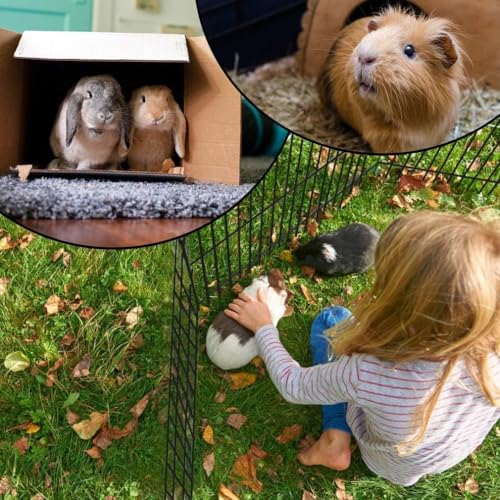 BestPet | Foldable Dog Playpen | 24 Inch, 8 Panels | Metal Pet Exercise Pen | Indoor Outdoor Portable Dog Fence with Door | Removable, Rust-Resistant Secure Pet Kennel | Easy to Assemble