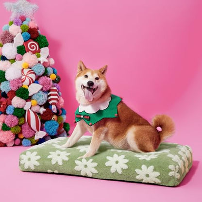 LE SURE Dog Beds Large Sized-Thick Shredded Chopped Foam Pet Bed Indoor as Bed Gift with Removable Cover, Cute Modern Fuzzy Plush & Anti Slip Bottom, Green - color: Green, size: 35.0"L x 22.0"W x 4.0"Th