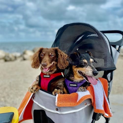 Best Pet Supplies Voyager Step-in Plush Dog Harness - Soft, Step in Vest Harness and Reflective Dog 5 ft Leash Combo with Neoprene Handle for Small and Medium Dogs, Red Plush, XS - color: Harness Leash Set (Red Plush), size: XS (Chest: 13 - 14.5")