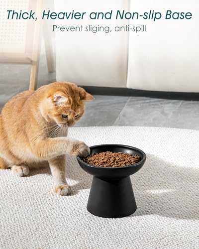 vancasso Ceramic Elevated Cat Bowls 2-Pack - 6.2" Extra Wide Raised Cat Food & Water Dishes, 5.1" Optimal Height Anti-Whisker Fatigue Shallow Bowls for Cats/Kittens/Dogs, Lead & Cadmium Free (Black) - color: Black