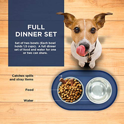 Bonza Cat or Small Dog Bowls with Spill-Proof Mat,12 oz Stainless Steel Feeding Dishes - size: Feeding Station