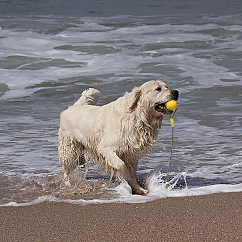 2 Pack Ball with Rope Dog Toy,Fling Dura Foam Toy,Dog Water Float Ball Rraining Boall on Rope (2 Pieces 9cm/3.5") - size: 2 Pieces 9cm/3.5"