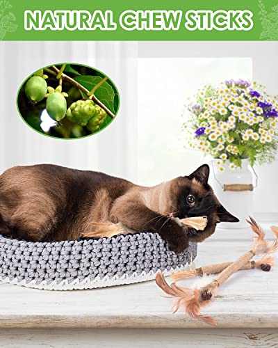 TINDTOP Silvervine Sticks for Cats with Natural Feather, Catnip Chew Toys for Kittens Teeth Cleaning, Increase Appetite, Calm Cat Anxiety and Stress, Cat Dental Toy (3 Pack) - color: 3 Pack