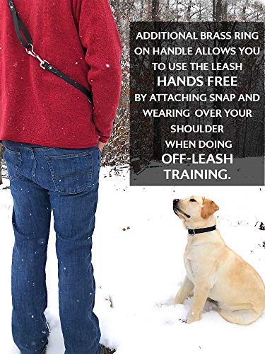 Regal Dog Products Waterproof Leash – 5 ft. Black Dog Leash with Easy to Use Collar Hook, Lightweight, and Proof Training Pet Lead with Vinyl-Coated Webbing for Small, Medium, Large, or XL Dogs - color: Black