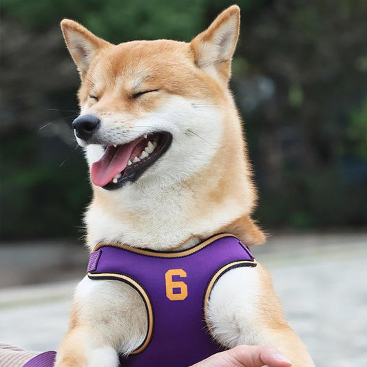 X-Shape Escape-Proof Dog Harness Vest, Reflective Padded Chest Strap with Matching Leash for Small & Medium Dogs Nylon & Polyester Design - color: Purple, size: XS