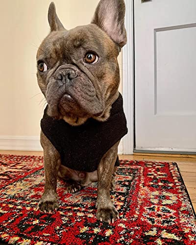 Gooby - Stretch Fleece Vest, Pullover Fleece Vest Jacket Sweater for Dogs, Black, X-Small - color: Black, size: X-Small Length (7")