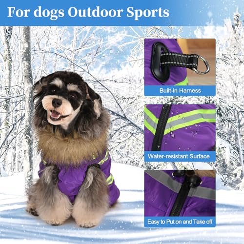 Winter Coat With Harness - Waterproof & Warm Jacket - Easy Zip-Up Design - Turtleneck Fleece Lined Clothes - Reflective Snowsuit Vest for Small Dogs - Purple S - size: Small