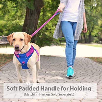 PHOEPET 5 Feet Dog Leash - Dual-Side Reflective - Soft Padded Handle - Fit for Walking, Training or Exploring Hiking, Camping (Pink + Royal Blue Base) - color: Pink + Royal Blue Base