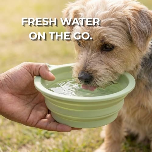 Collapsible Dog Bowls 2 Pack (650ml Each) – Foldable Silicone Travel Bowl Set with Slow Feeder, Water Bowl & Carabiner Clip for Hiking Camping | Dishwasher Safe | for Medium to Large Dogs