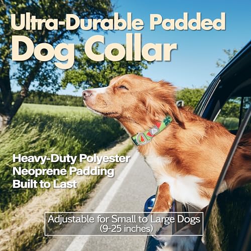 Cute Dog Collar, Summer Watermelon Print Reflective Padded Collar with Soft Neoprene, Adjustable Lightweight Pet Collar for Small Dogs, Puppies,Neck Size 9’’-14’’ (Watermelon, S) - color: Watermelon, size: S (Neck 9''– 14'')