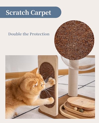 Modern Cat Tree for Large Cats, Modern Cat Tree Tower with Wide Shelves Cotton Scratching Posts, Super Sturdy Base, Cozy Perches, and Interactive Toys for Indoor Kittens 31-Inch - color: S81D