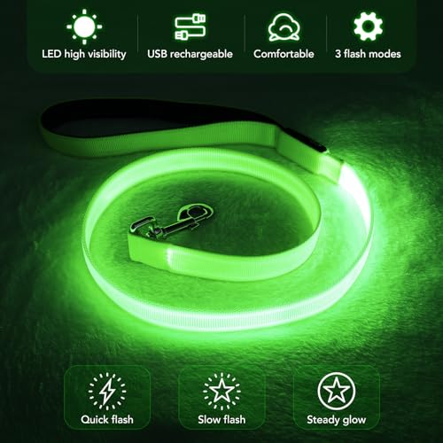 LED Dog Leash Light Up 4 Feet Micro USB Rechargeable Nylon Webbing Glow Safety Standard by Bpawser (Green) - color: Green, size: 4 Feet
