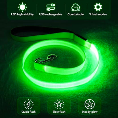 LED Dog Leash Light Up 4 Feet Micro USB Rechargeable Nylon Webbing Glow Safety Standard by Bpawser (Green) - color: Green, size: 4 Feet