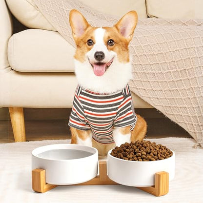 Mowtanco White Ceramic Dog & Cat Bowl Set – 13.5 OZ with Wooden Stand, Non-Slip, Elevated Design for Small Dogs & Cats – 2 Bowls (Food & Water, Ceramic Pet Bowls, Modern Dog Bowls) - color: White × 2