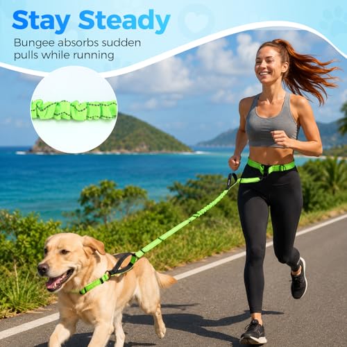 Hands Free Large Dog Leash, 6-8 FT Bungee Leash with Waist Belt for Dog Up to 150 lbs, Running Walking Jogging - color: 1 Dog – Sunset Red