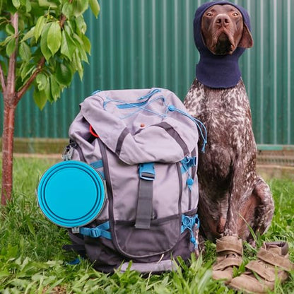 Loving Pets - Bella Roma Portable Travel Dog Bowl Collapsible Dog Food & Water Bowl (Blue, Medium) - color: Blue, size: Medium Travel Bowl