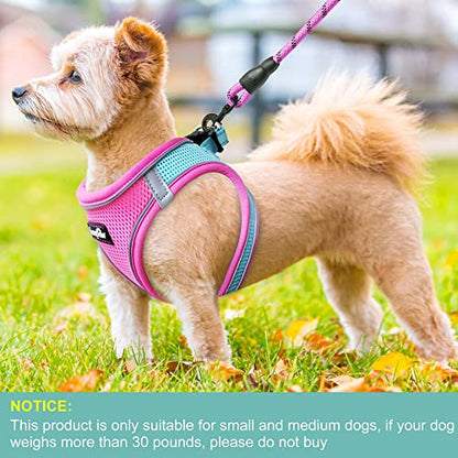 haapaw Dog Harness with Leash Set, No Pull Adjustable Reflective Step-in Puppy Harness with Thickened Padded Vest for Extra-Small/Small Medium Dogs - color: Blue / Pink, size: S