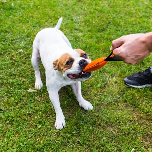 Bull Fit K9 Dog Bite Tug Toy with Strong Handle - Made of Durable & Tear-Resistant French Linen - Perfect for Tug of War, Fetch & Puppy Training - Ideal for Medium to Large Breeds - color: Orange Bite Tug with Blue Handle
