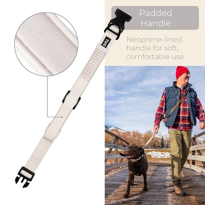 TUG Grab Collar | Integrated Traffic Leash Magnetically Attached for Quick Control (Medium/Cream) - color: Cream, size: Medium