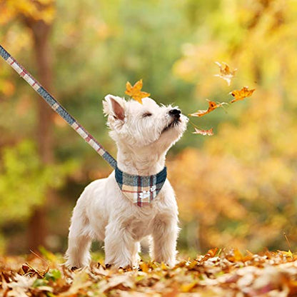 EXPAWLORER Puppy Collar and Leash Set - Plaid Dog Collar and Leash with Bow Tie and Bandana, Bell, Khaki - color: Khaki, size: Small