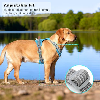 No Pull Dog Harness – Adjustable Reflective Nylon Vest for Small Medium Large Dogs, Escape Proof Training Harness with Leather Control Handle, Lightweight Aluminum Hardware (Cyan, M) - color: Cyan, size: M