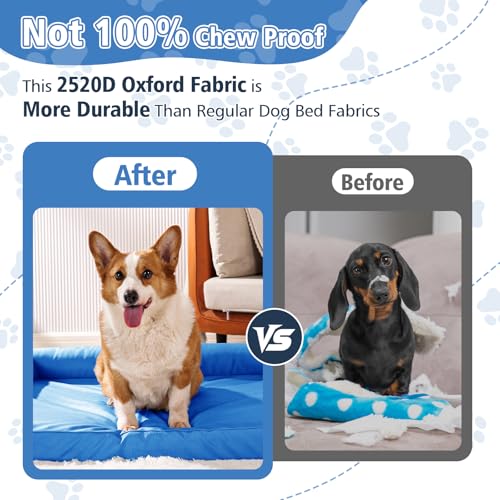 Chew Proof Dog Bed - Orthopedic Memory Foam Dog Bed, Waterproof Washable Cover with Non-Slip Bottom & Indestructible Pet Sofa for Medium Large Dogs, 30" x 20" Blue