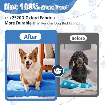 Chew Proof Dog Bed - Orthopedic Memory Foam Dog Bed, Waterproof Washable Cover with Non-Slip Bottom & Indestructible Pet Sofa for Medium Large Dogs, 30" x 20" Blue