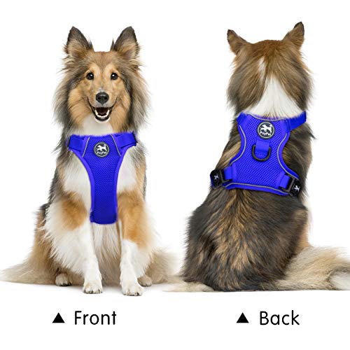 PoyPet Reflective Soft Breathable Mesh Dog Harness Choke-Free Double Padded Vest with Adjustable Neck and Chest(Royal Blue,S) - color: Royal Blue, size: S