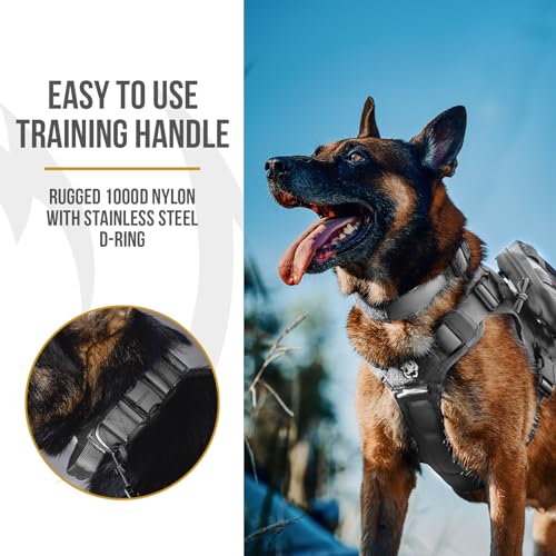OneTigris Tough Dog Collars, Tactical Dog Collar with Handle, Milltary Adjustable Dog Collar with Heavy Duty Metal Buckle for Training (Medium,Gray) - color: Gray, size: Medium