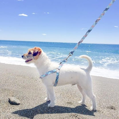 BINGPET Dog Harness Collar Leash Set,Adjustable No Pull Escape Proof Small Dog Harness,Classic Plaid Puppy Harness and Leash Set for Small Medium Large Dogs Training Easy Walk Running(Blue,M) - color: Blue Plaid, size: M(Chest Girth:17.3''-23.38'')