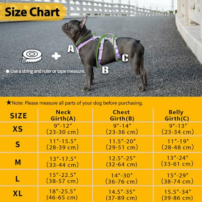 Huntboo Escape Proof Dog Harness, Secure Dog Harness No Escape,Fully Reflective Harness with Handle,Breathable,Durable,Adjustable Vest for Small Dogs Walking,Training & Running Gear(Lavender Purple,S) - color: Lavender Purple, size: Small(Pack of 1)